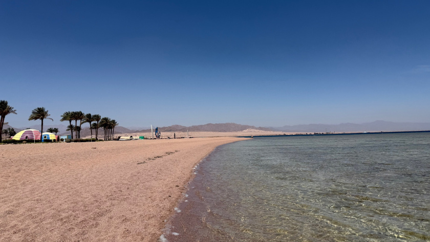    фото из архива редакции