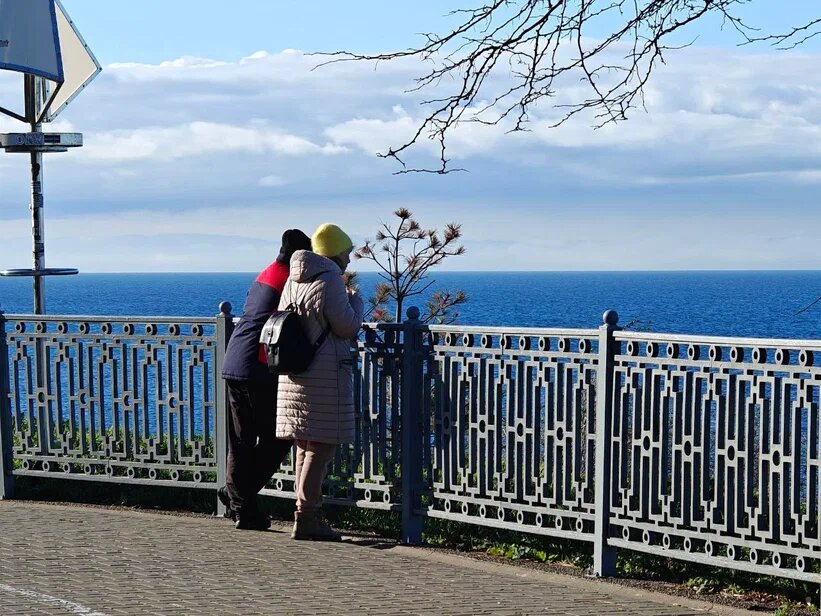    Фото: Юрий Серебренников/BFM Кубань