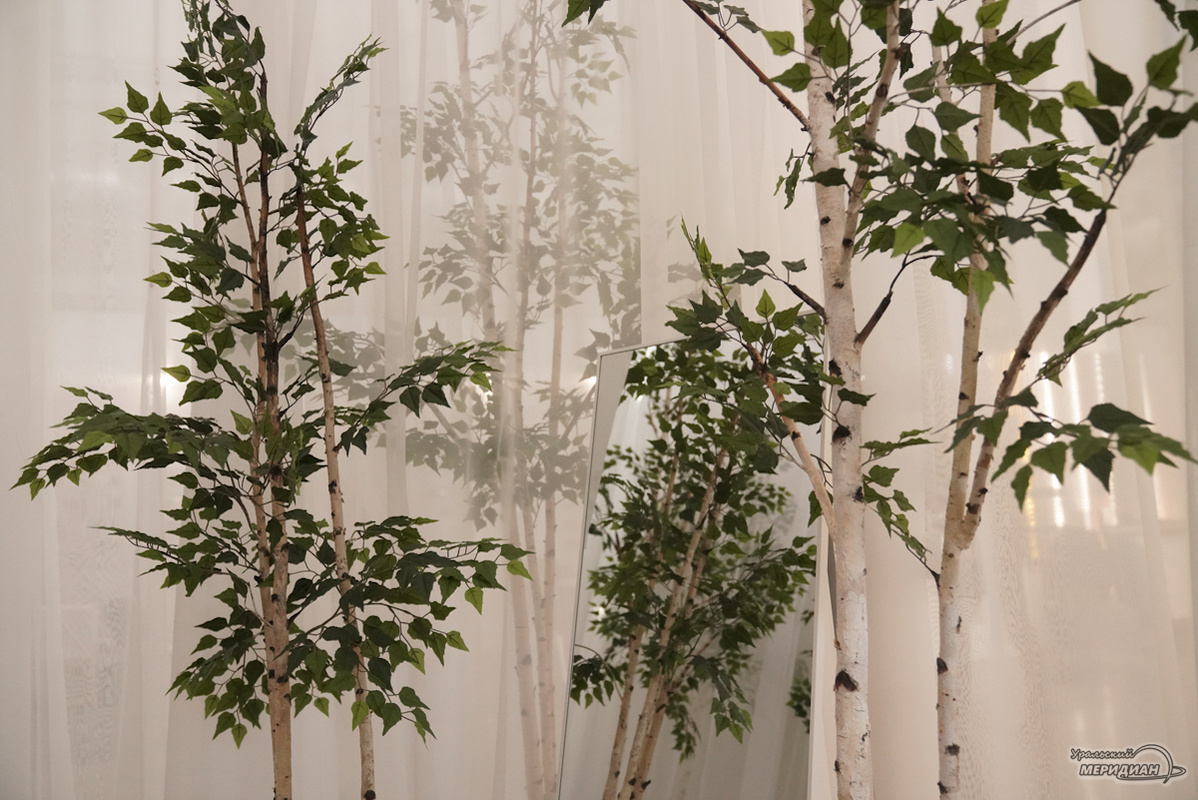 Фото: Лидия Аникина © ИА «Уральский меридиан»  📷
