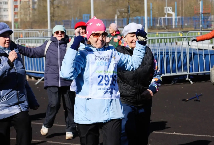 фото: Заневское городское поселение