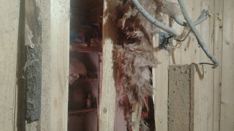 Нужды приюта помимо корма 🙏