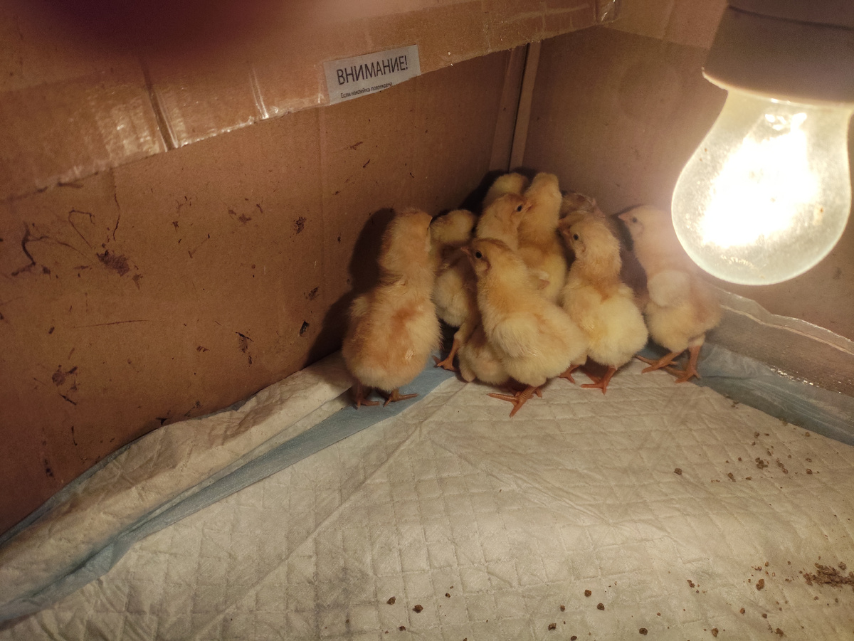 Страшно-то как....