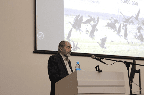    Олонецкая стоянка гусей и казарок нуждается в особой защите© Игорь Подгорный / КарНЦ РАН