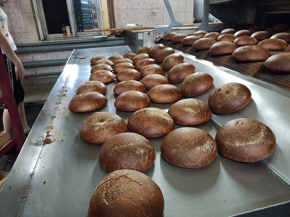    Фото: АиФ/ Андрей Федотов