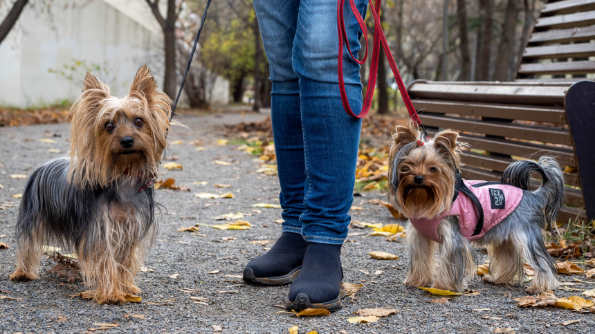    Фото: ИЗВЕСТИЯ/Эльмира Закирова