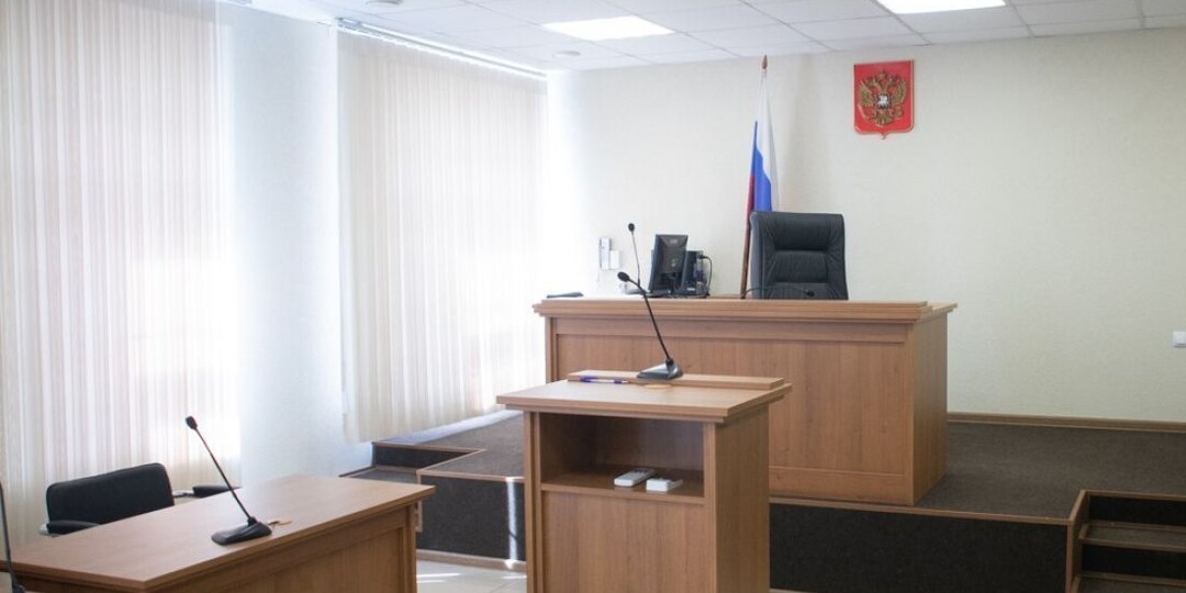 Жителя Пензы приговорили к 13 годам за государственную измену