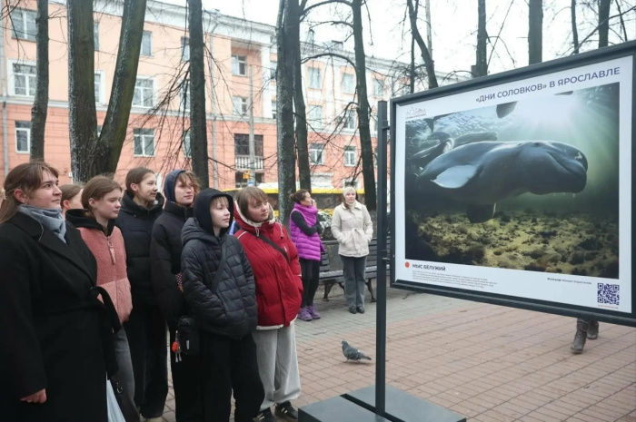    Официальный портал Ярославской области