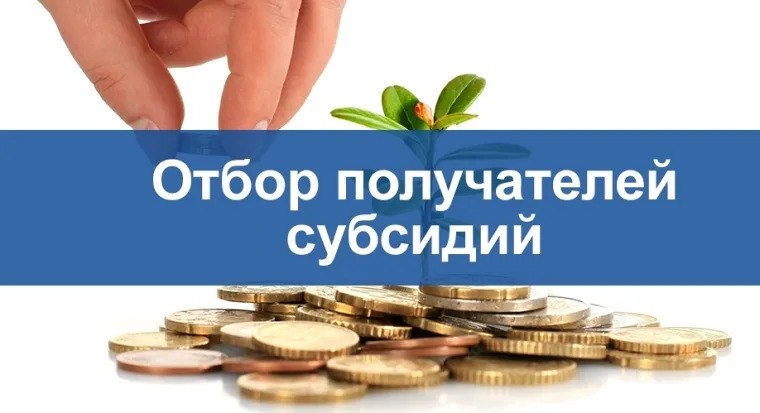 Минсельхоз Республики Адыгея информирует о том, что с 03 по 15 марта 2026 года включительно объявлен отбор получателей субсидии на