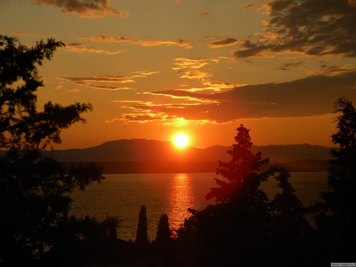 фото взято из открытого источника