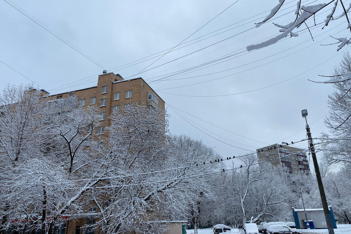    Погода 123RF/legion-media.ru