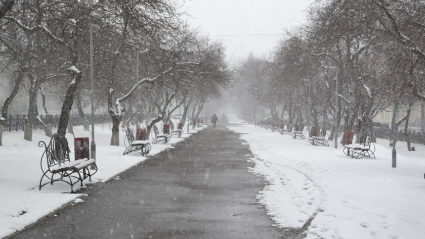    Фото: progorod43.ru