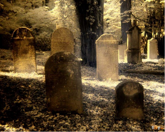 ФОТО ПАРИЖ КЛАДБИЩЕ