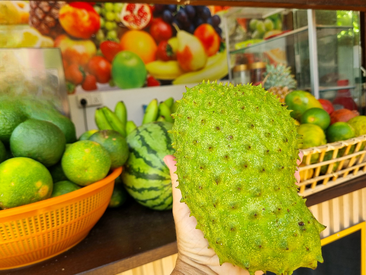 Фото автора статьи.