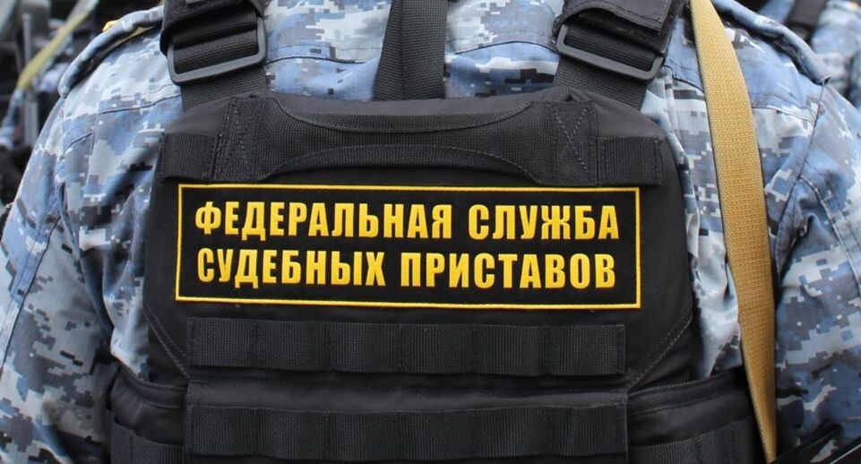    пресс-служба ГУФССП России по Московской области