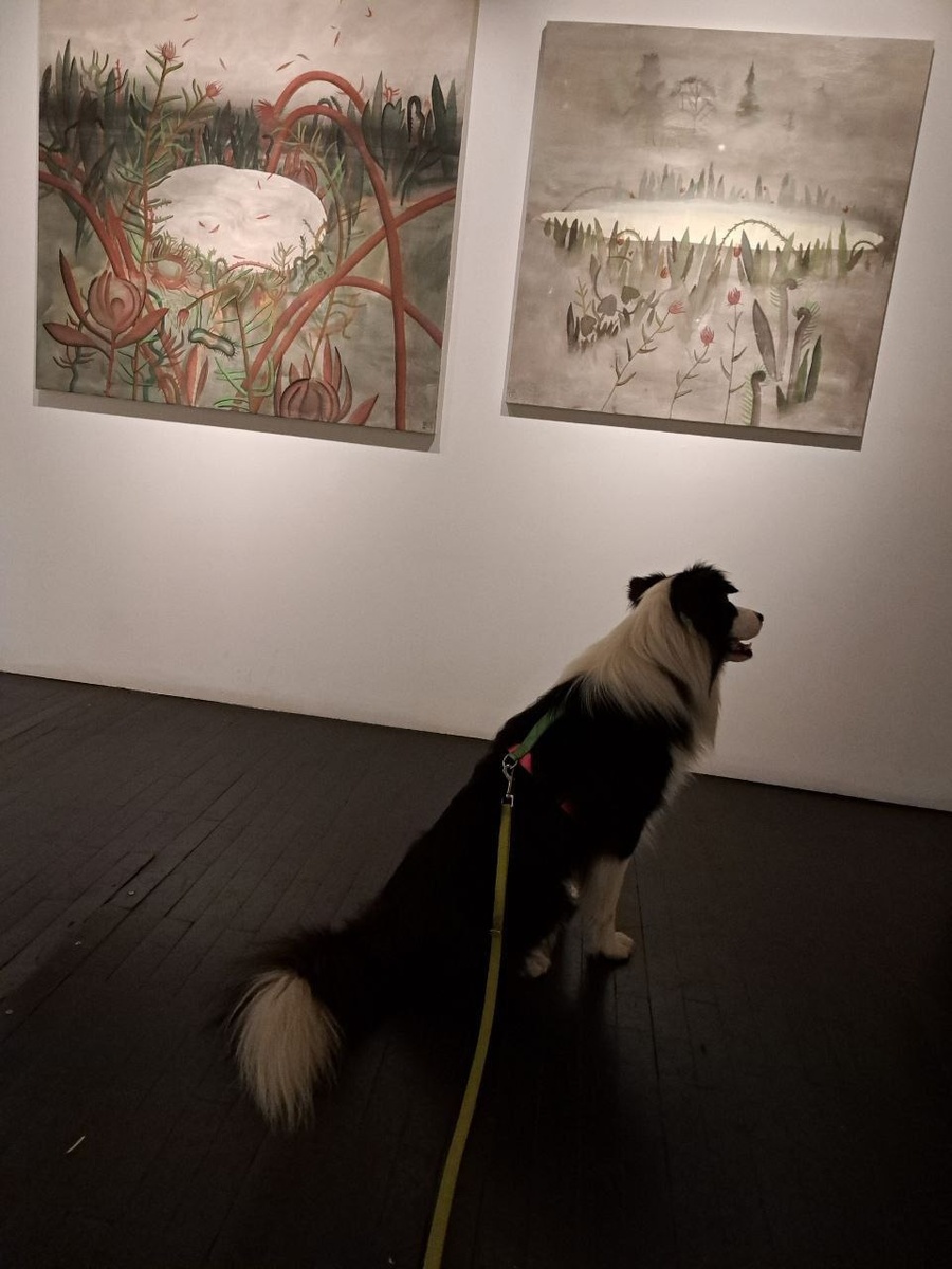 Источник изображения: https://dogfriendlymap.ru