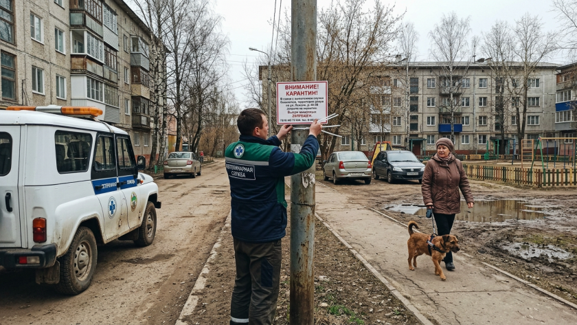    Фото ИИ progorodnn.ru