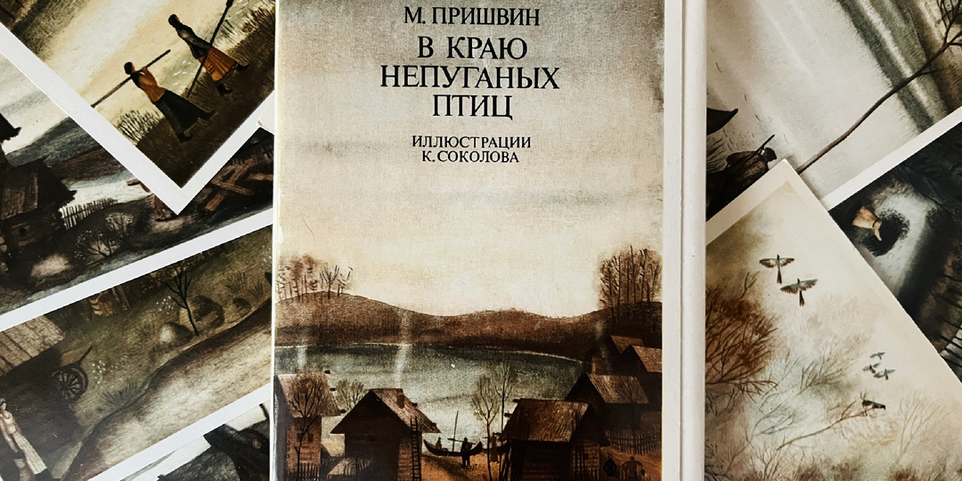 «В краю непуганых птиц» - иллюстрации К. Соколова к очеркам М. Пришвина.