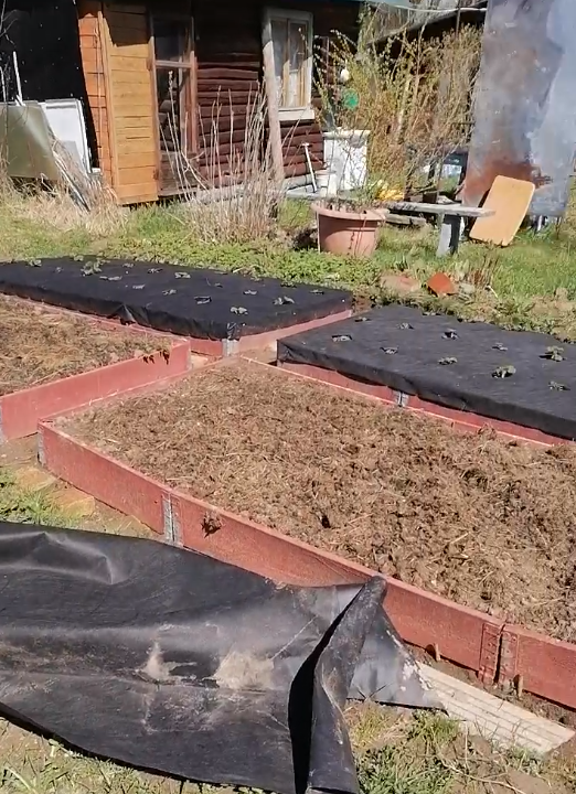 После зимы убрали укрывной.