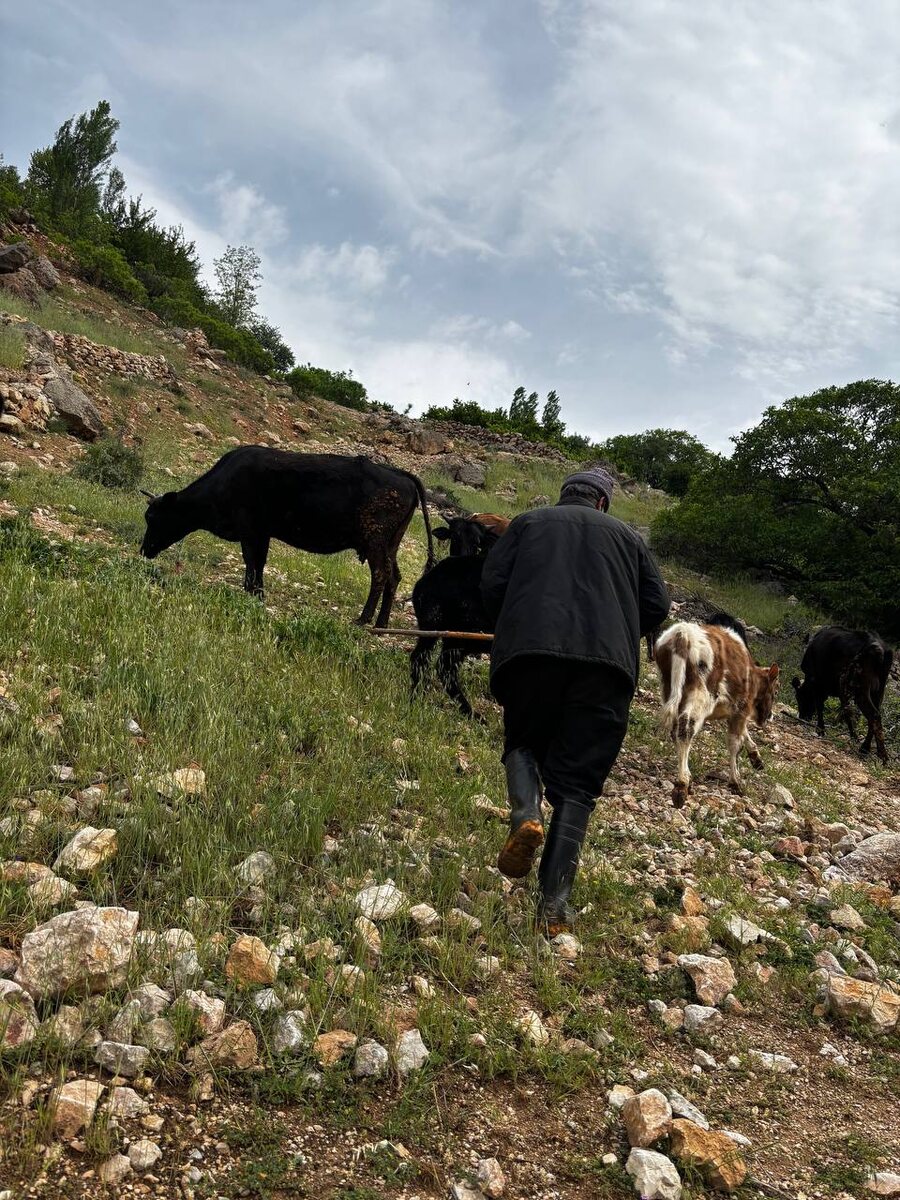 А это часть жизненного цикла, о чем я дальше расскажу