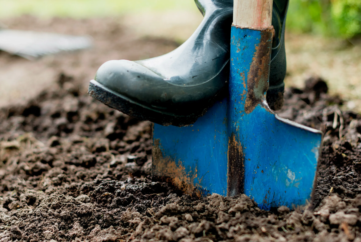 Источник фото: tomsguide.com