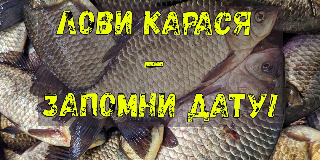 Весенний Карась: Когда Начинается Клев и Как Не Пропустить Лучший Момент
