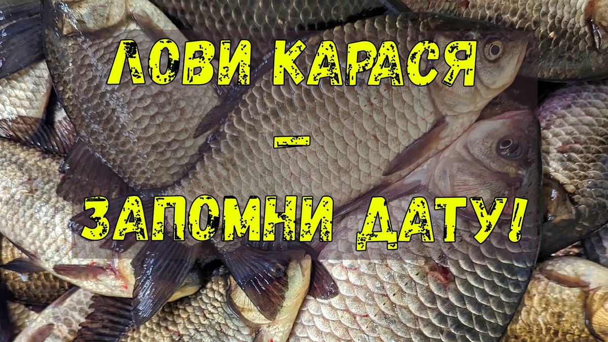 Фото с альбома 