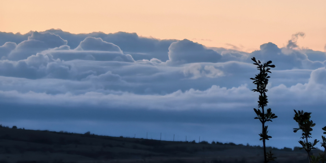 Сезон дождей