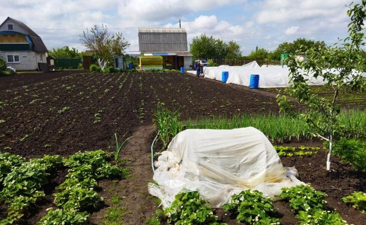    Фото "Курских известий"