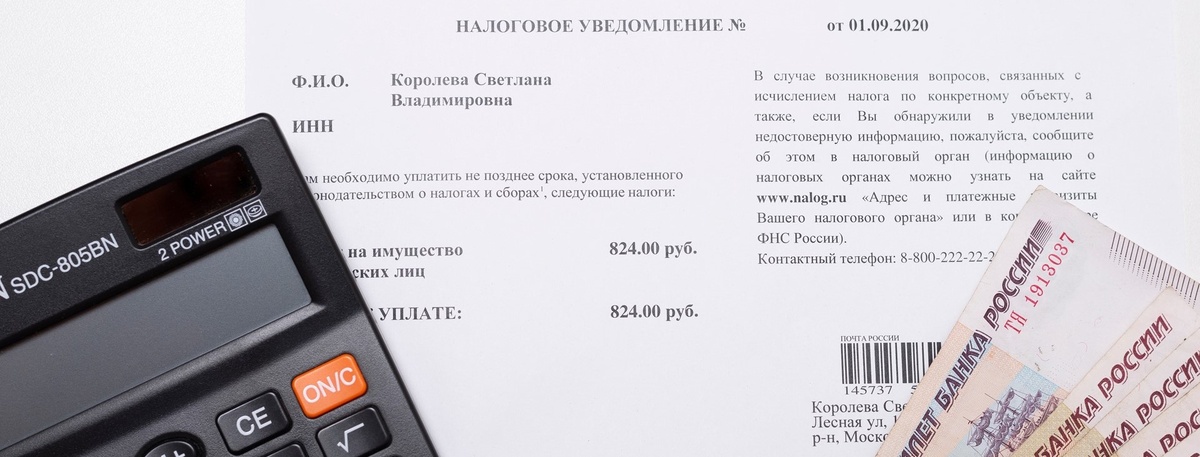    Автор фото: igorykor / Shutterstock / FOTODOM