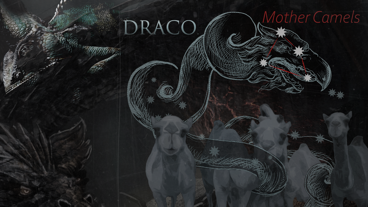 Коллаж семинара: Глаз дракона (забой верблюда)