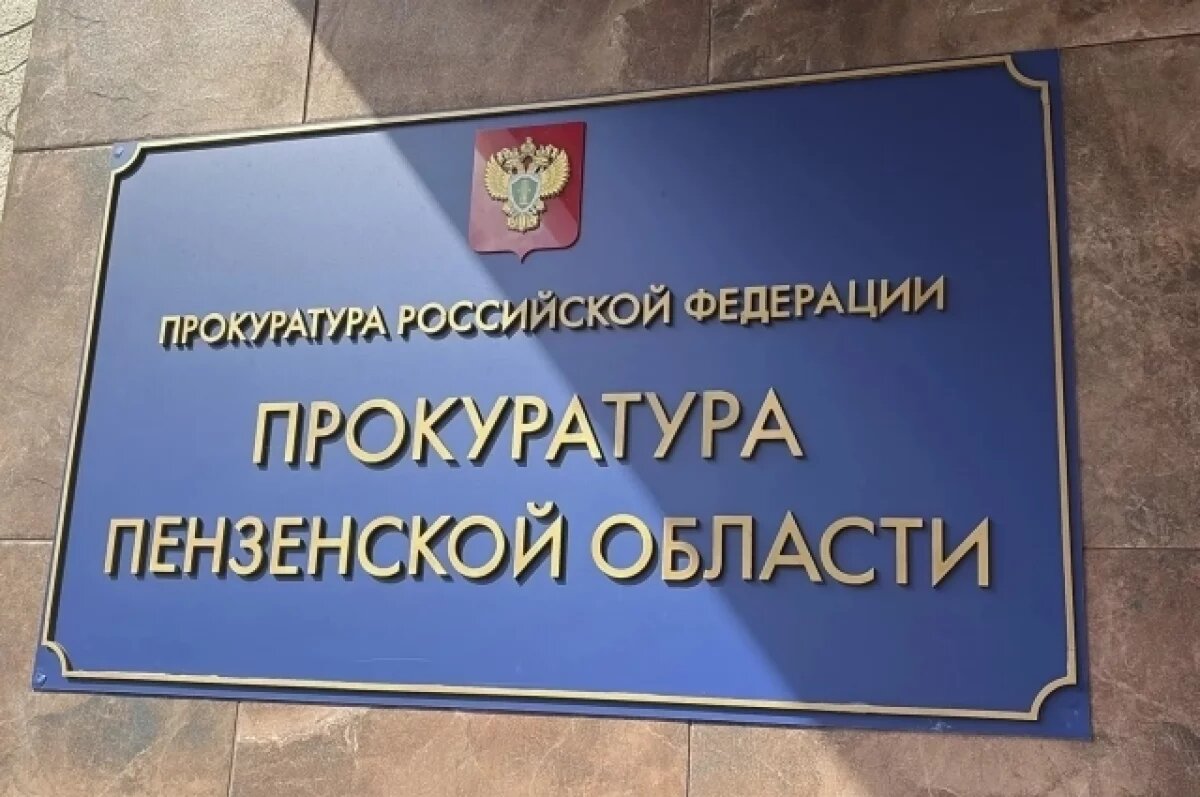    В Пензе прокуратура потребовала привести в порядок участок проспекта Победы