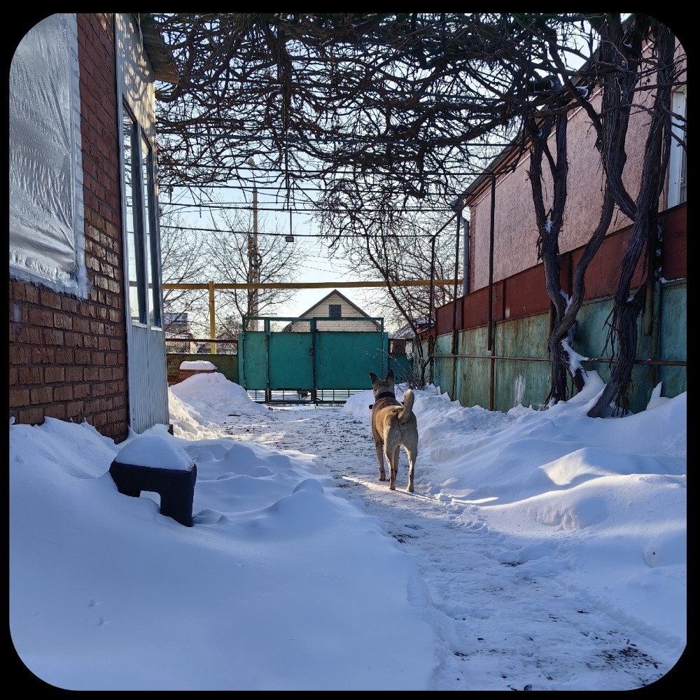 Летнего фото навеса не нашлось. Зимой и сейчас он выглядит вот так. 