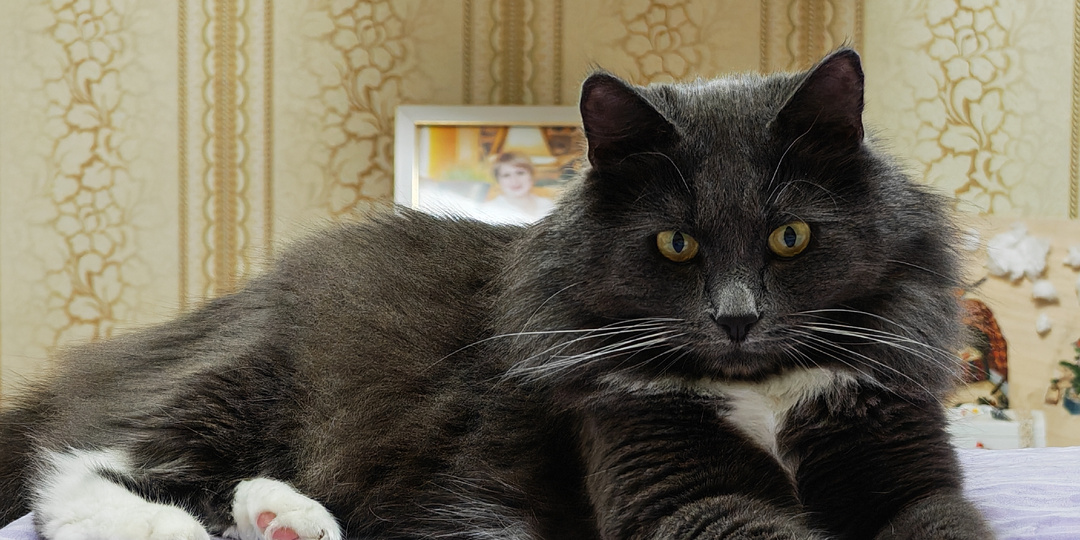 Что приготовлю на праздник и планы на день. Деньги лишними не бывают.