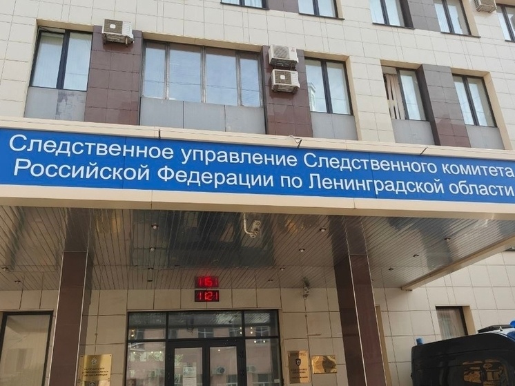     Фото: архив "МК в Питере"
