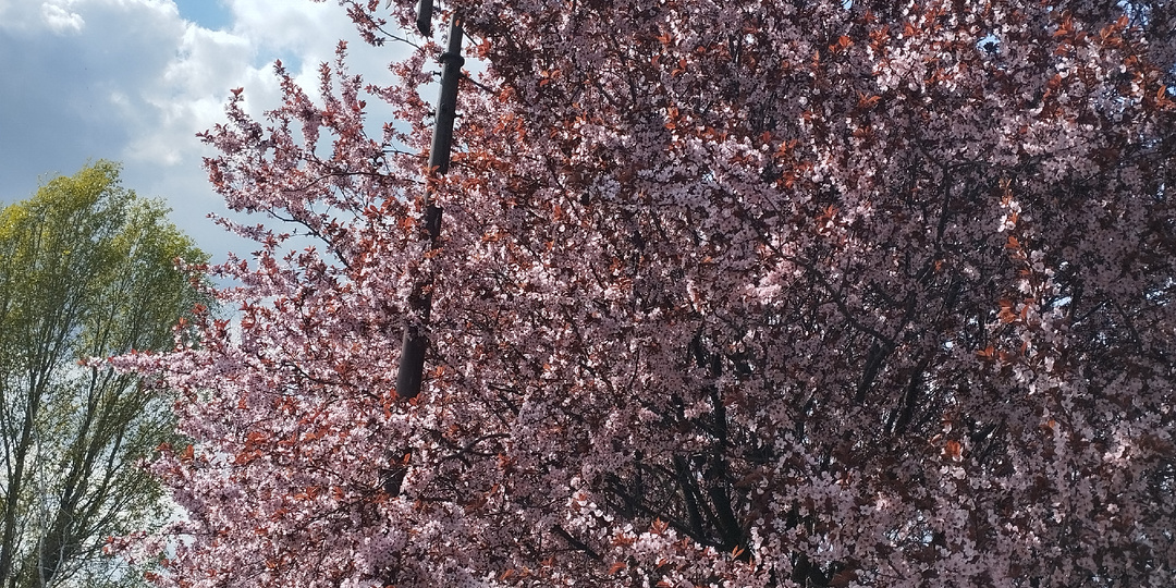 Про капризы апреля, отопление, бесхозное жильё и управдомов в Донецке