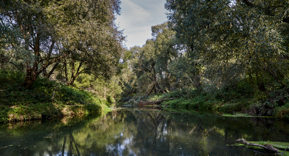 Журналист. Встреча.