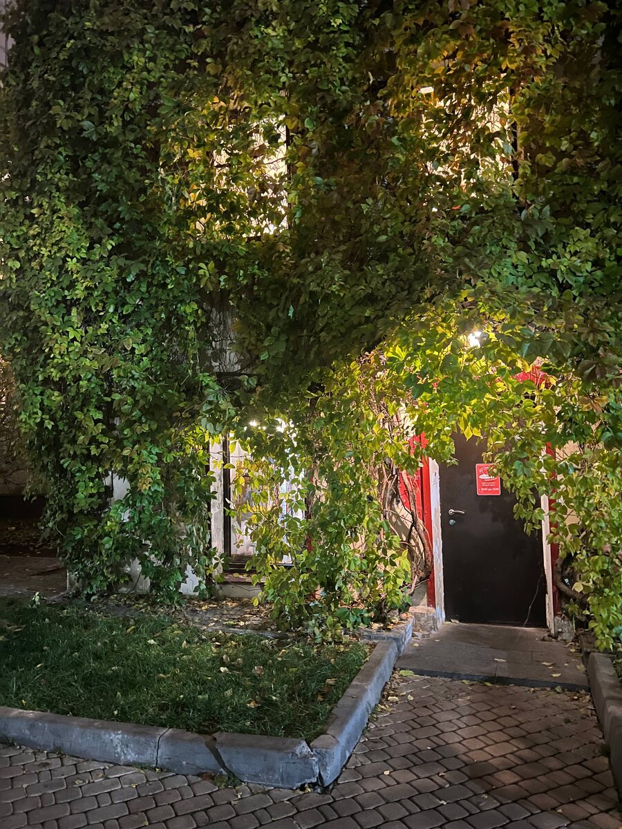 Абсолютно Нью-Йоркский вход в питерскую кофейню "Винил и кофе", Малая Садовая, дом 4, флигель во дворе. Фото из личного архива автора.