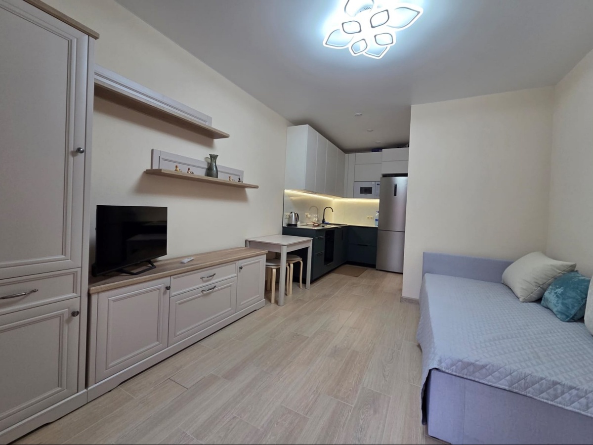 за стеночкой прячутся вход с улицы и мини-санузел, и это вся квартира