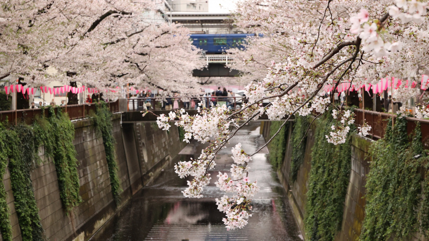    Фото: www.globallookpress.com/AFLO/Yoshio Tsunoda