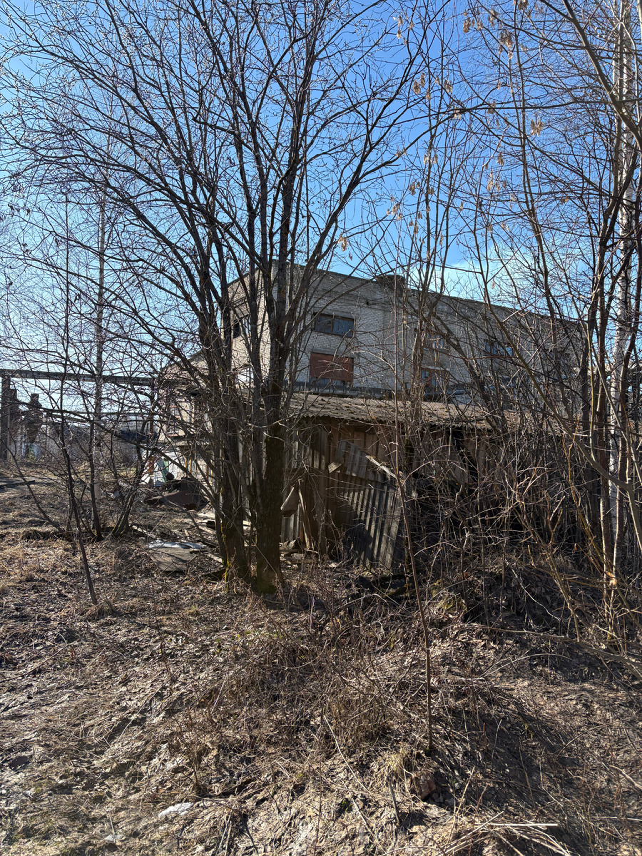 Один из цехов по обработке древесины