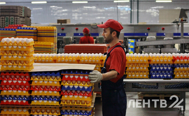    © Анастасия Илюшина / ЛенТВ24, архивное фото