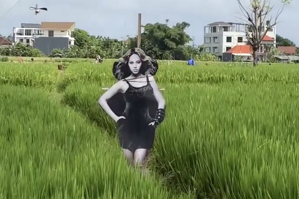 ferysjournal/Instagram   📷