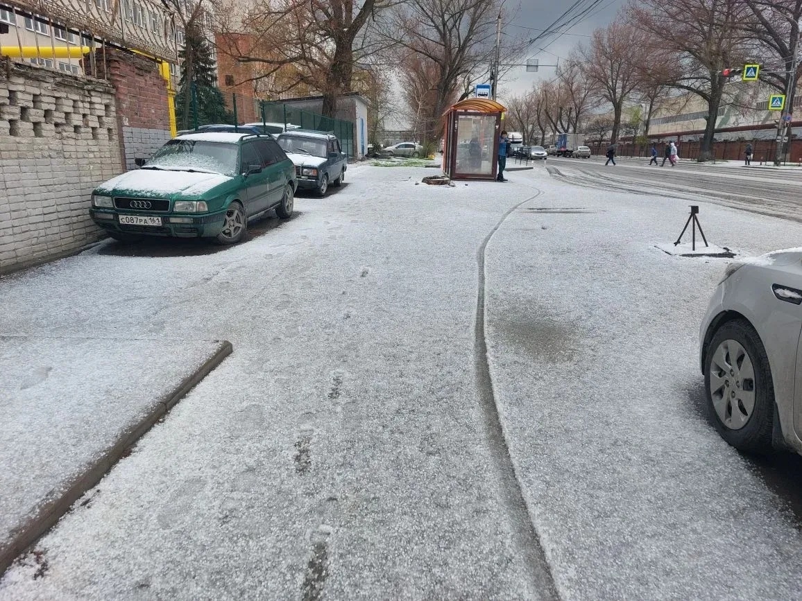 Сельмаш наш!