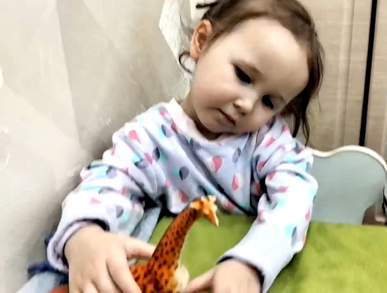 Для чего же жирафу ноги? 