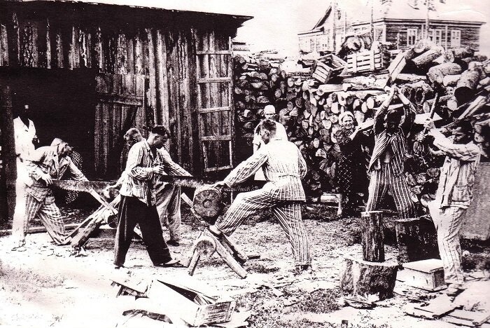 🎞️ Тропарёво-Никулино: Тайна двух деревень — почему этот район называют «кинозвездой» и «олимпийской столицей» Москвы