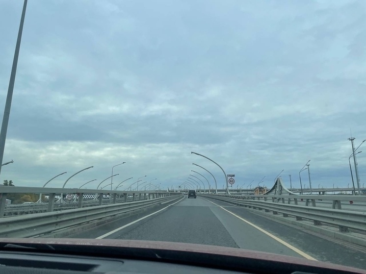     Фото: архив "МК в Питере"