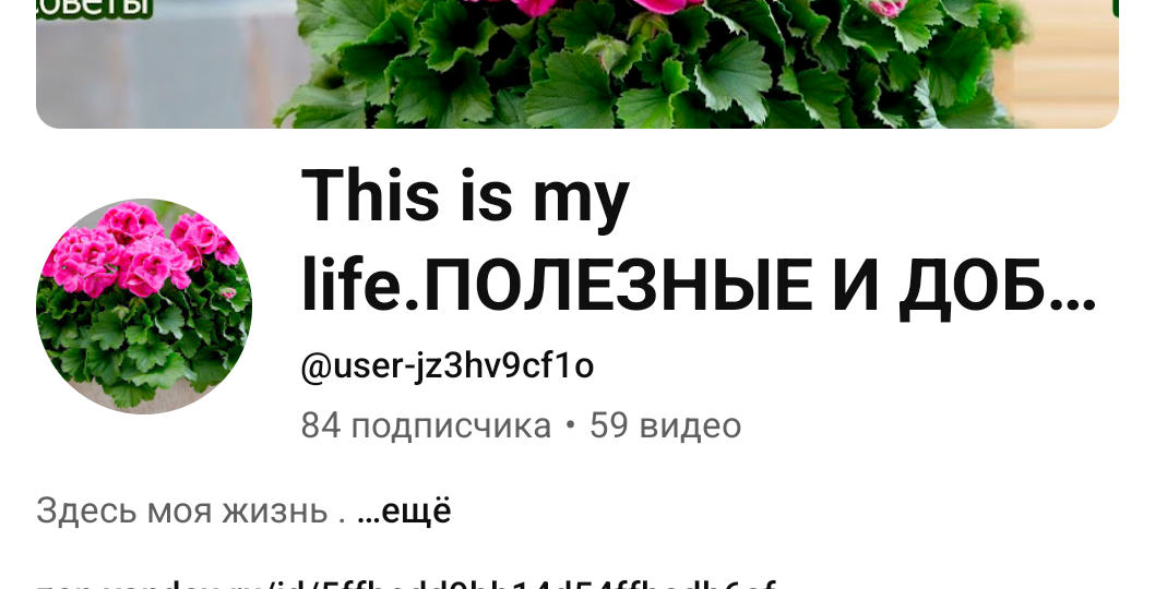 Это её жизнь. О хейте фанатки.