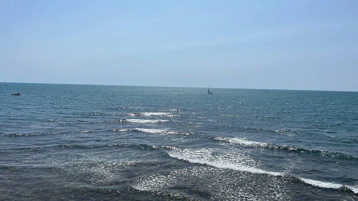    Фото: телеканал «Краснодар»