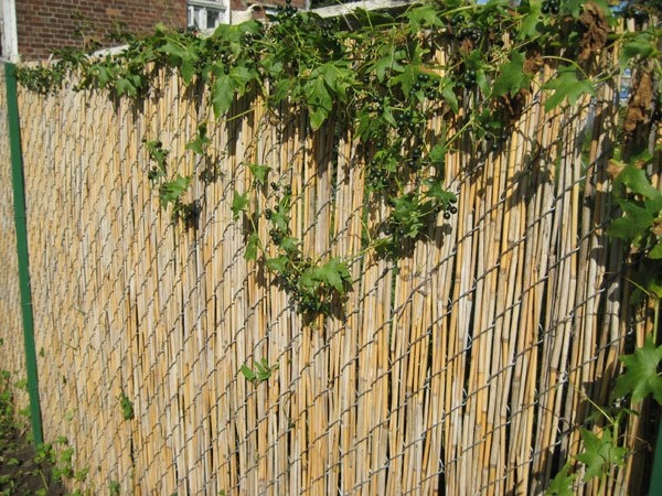 Источник изображения - https://sun9-67.userapi.com/s/v1/ig2/bEJjAgWNrEhT-fhgBzxgmowBENqqZybhEDIkmxwLq3aV5OxeK_wir2grb6k3FJspG3soouKs9YwvszLNndQdGEgY.jpg?quality=96&as=32x24,48x36,72x54,108x81,160x120,240x180,360x270,480x360,540x405,600x450&from=bu