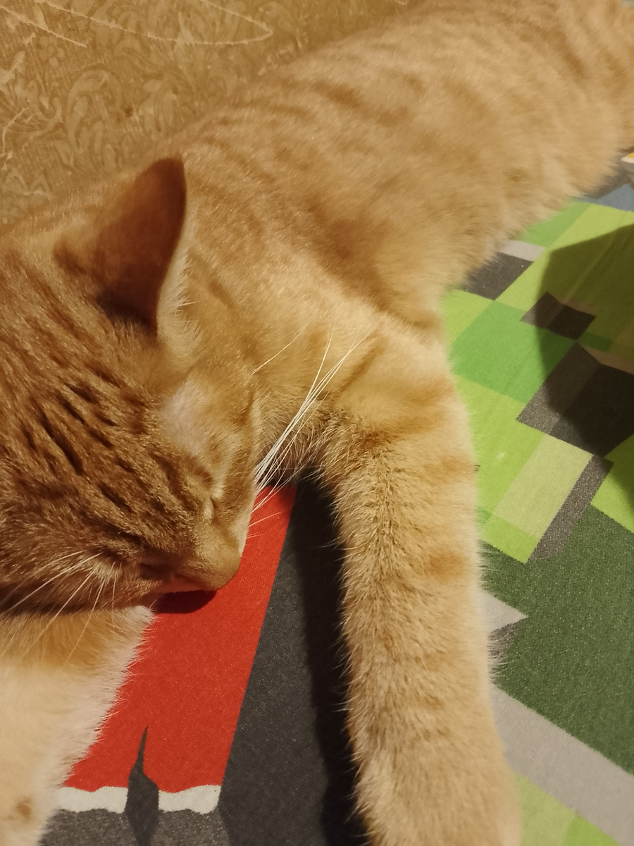 Генка счастливый. Так беззаботно спит